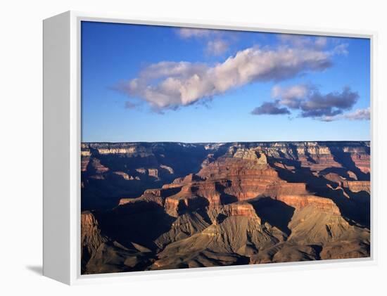 Grand Canyon-Charles Bowman-Framed Premier Image Canvas