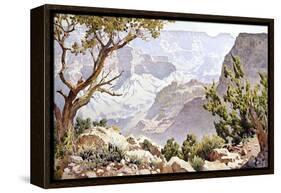 Grand Canyon-Gunnar Widforss-Framed Premier Image Canvas