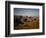 Grand Canyon-John Gusky-Framed Photographic Print