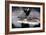 Grand Central Terminal Reflection-null-Framed Photo