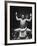 Grand Champion Sumo Wrestler, Taiho Performing Ring Ceremony Before Match-Bill Ray-Framed Premium Photographic Print