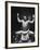 Grand Champion Sumo Wrestler, Taiho Performing Ring Ceremony Before Match-Bill Ray-Framed Premium Photographic Print