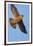 Grand Flight-Staffan Widstrand-Framed Giclee Print