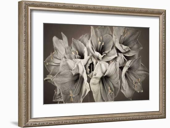 Grand Floral-Assaf Frank-Framed Giclee Print