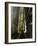 Grand Gallery Inside the Great Pyramid of Khufu, Giza, Egypt-Schlenker Jochen-Framed Photographic Print