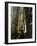 Grand Gallery Inside the Great Pyramid of Khufu, Giza, Egypt-Schlenker Jochen-Framed Photographic Print