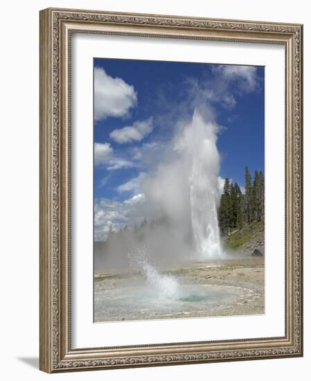 Grand Geyser Erupting, Upper Geyser Basin, Yellowstone National Park, Wyoming, USA-Neale Clarke-Framed Photographic Print