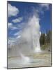 Grand Geyser Erupting, Upper Geyser Basin, Yellowstone National Park, Wyoming, USA-Neale Clarke-Mounted Photographic Print