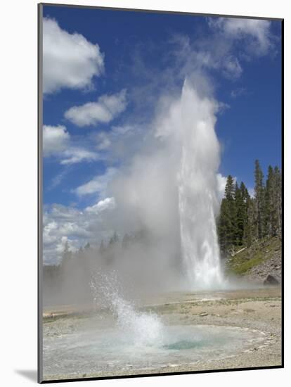 Grand Geyser Erupting, Upper Geyser Basin, Yellowstone National Park, Wyoming, USA-Neale Clarke-Mounted Photographic Print