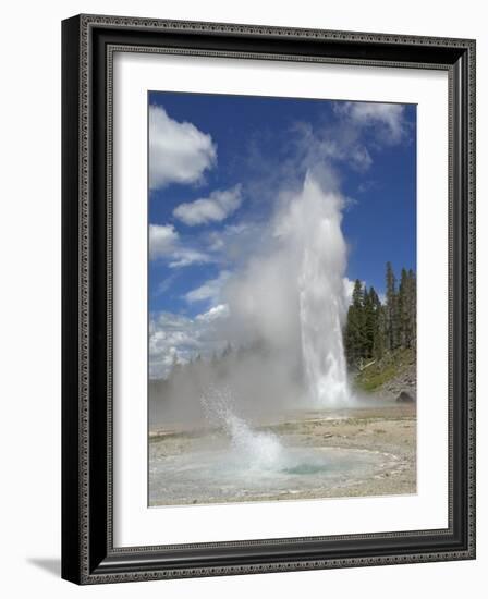 Grand Geyser Erupting, Upper Geyser Basin, Yellowstone National Park, Wyoming, USA-Neale Clarke-Framed Photographic Print