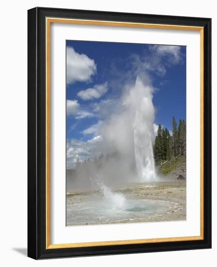 Grand Geyser Erupting, Upper Geyser Basin, Yellowstone National Park, Wyoming, USA-Neale Clarke-Framed Photographic Print