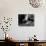 Grand Illusion, (AKA La Grande Illusion), Erich Von Stroheim, Pierre Fresnay, 1937-null-Photo displayed on a wall