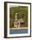 Grand Island East Channel Lighthouse, Michigan, USA-Peter Hawkins-Framed Photographic Print