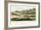 Grand Junction Canal, Northampstonshire, 1819-null-Framed Giclee Print