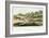 Grand Junction Canal, Northampstonshire, 1819-null-Framed Giclee Print