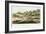 Grand Junction Canal, Northampstonshire, 1819-null-Framed Giclee Print