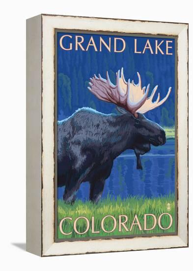 Grand Lake, Colorado - Moose at Night-Lantern Press-Framed Stretched Canvas