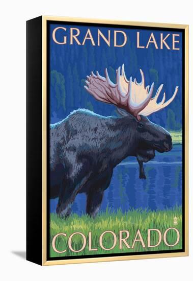 Grand Lake, Colorado - Moose at Night-Lantern Press-Framed Stretched Canvas