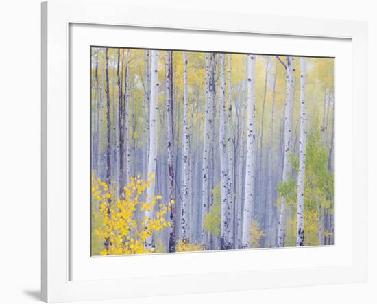 Grand Mesa-Don Paulson-Framed Giclee Print