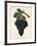 Grand-Noir-De-La-Calmette Grape-J. Troncy-Framed Giclee Print