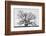 Grand Oak Tree I-Rachel Perry-Framed Photographic Print