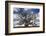 Grand Oak Tree III-Rachel Perry-Framed Photographic Print