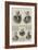 Grand Officers of the Order of Freemasons-null-Framed Giclee Print