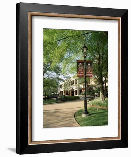 Grand Ole Opry, Nashville, Tennessee, United States of America, North America-Gavin Hellier-Framed Photographic Print