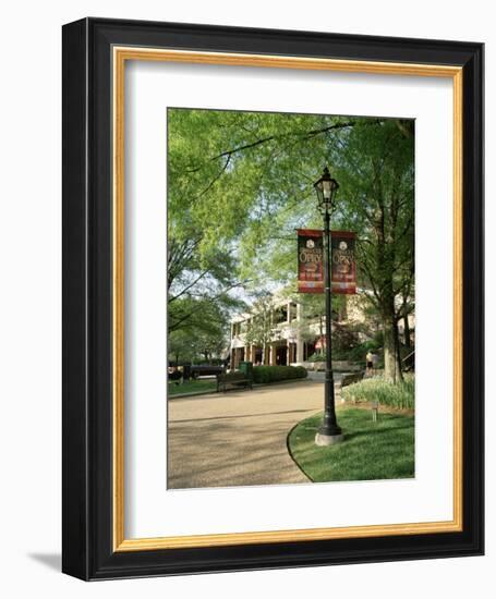 Grand Ole Opry, Nashville, Tennessee, United States of America, North America-Gavin Hellier-Framed Photographic Print