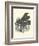 Grand Piano-null-Framed Premium Giclee Print