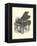 Grand Piano-null-Framed Stretched Canvas