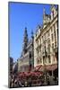 Grand Place, UNESCO World Heritage Site, Brussels, Belgium, Europe-Neil Farrin-Mounted Photographic Print