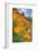 Grand Poppy Landscape Revisited, Merced Canyon-Vincent James-Framed Photographic Print