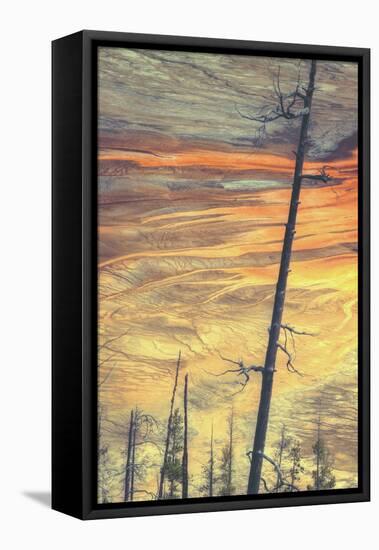 Grand Prismatic Detail-Vincent James-Framed Premier Image Canvas