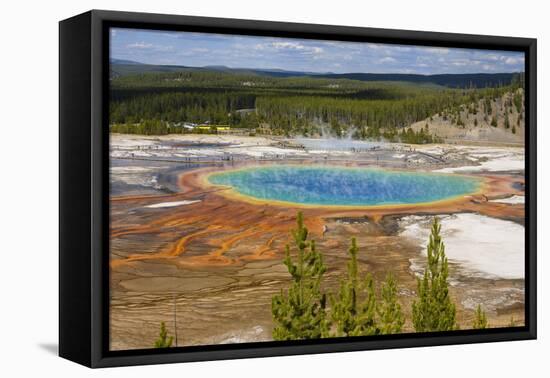 Grand Prismatic Spring, Midway Geyser Basin, Yellowstone National Park, Wyoming, U.S.A.-Gary Cook-Framed Premier Image Canvas