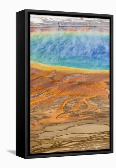 Grand Prismatic Spring, Midway Geyser Basin, Yellowstone National Park, Wyoming, U.S.A.-Gary Cook-Framed Premier Image Canvas