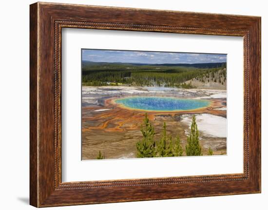 Grand Prismatic Spring, Midway Geyser Basin, Yellowstone National Park, Wyoming, U.S.A.-Gary Cook-Framed Photographic Print