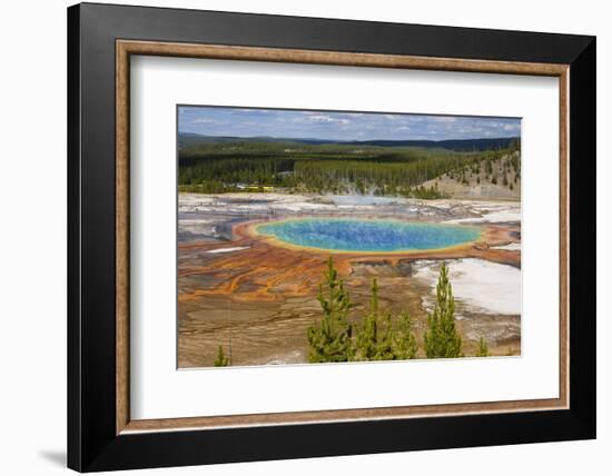 Grand Prismatic Spring, Midway Geyser Basin, Yellowstone National Park, Wyoming, U.S.A.-Gary Cook-Framed Photographic Print