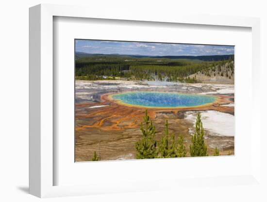 Grand Prismatic Spring, Midway Geyser Basin, Yellowstone National Park, Wyoming, U.S.A.-Gary Cook-Framed Photographic Print