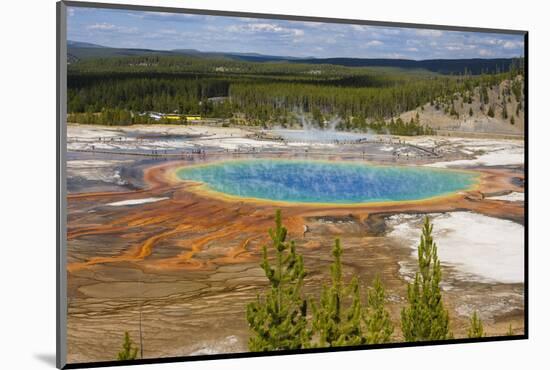 Grand Prismatic Spring, Midway Geyser Basin, Yellowstone National Park, Wyoming, U.S.A.-Gary Cook-Mounted Photographic Print