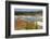 Grand Prismatic Spring, Midway Geyser Basin, Yellowstone National Park, Wyoming, U.S.A.-Gary Cook-Framed Photographic Print