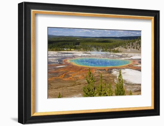 Grand Prismatic Spring, Midway Geyser Basin, Yellowstone National Park, Wyoming, U.S.A.-Gary Cook-Framed Photographic Print