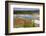 Grand Prismatic Spring, Midway Geyser Basin, Yellowstone National Park, Wyoming, U.S.A.-Gary Cook-Framed Photographic Print