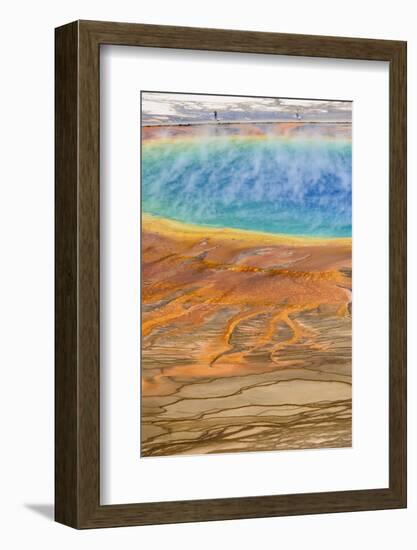 Grand Prismatic Spring, Midway Geyser Basin, Yellowstone National Park, Wyoming, U.S.A.-Gary Cook-Framed Photographic Print