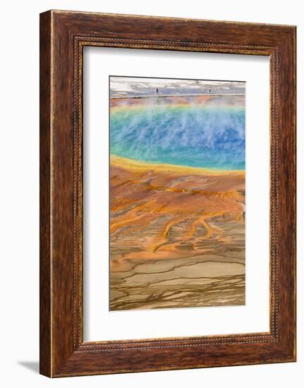 Grand Prismatic Spring, Midway Geyser Basin, Yellowstone National Park, Wyoming, U.S.A.-Gary Cook-Framed Photographic Print