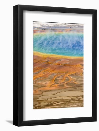 Grand Prismatic Spring, Midway Geyser Basin, Yellowstone National Park, Wyoming, U.S.A.-Gary Cook-Framed Photographic Print