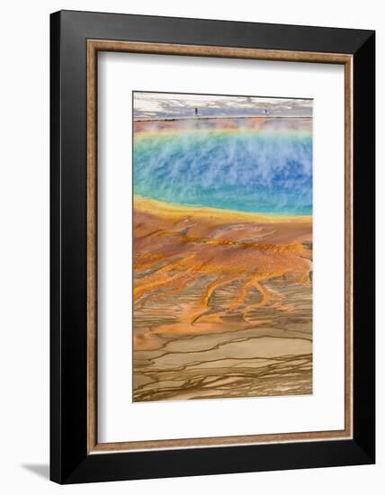Grand Prismatic Spring, Midway Geyser Basin, Yellowstone National Park, Wyoming, U.S.A.-Gary Cook-Framed Photographic Print