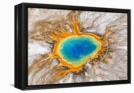 Grand Prismatic Spring, Midway Geyser Basin, Yellowstone National Park, Wyoming, Usa-Peter Adams-Framed Premier Image Canvas