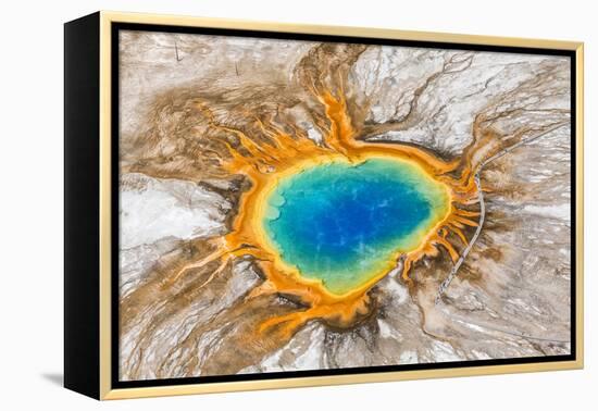 Grand Prismatic Spring, Midway Geyser Basin, Yellowstone National Park, Wyoming, Usa-Peter Adams-Framed Premier Image Canvas