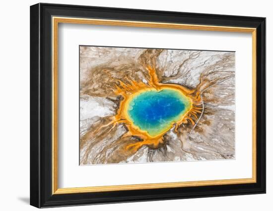 Grand Prismatic Spring, Midway Geyser Basin, Yellowstone National Park, Wyoming, Usa-Peter Adams-Framed Photographic Print